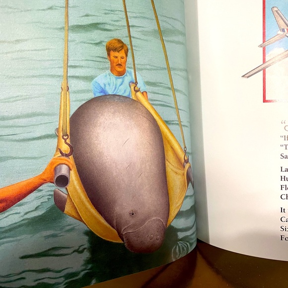 HUMANE SOCIETY MANATEE HARDCOVER BOOK CHESSIE, THE TRAVELIN’ MAN, A TRUE… - Picture 9 of 15
